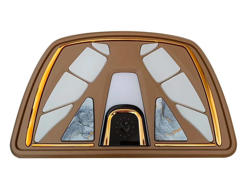 car ceiling light